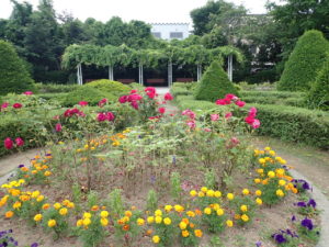 西洋庭園　円形花壇